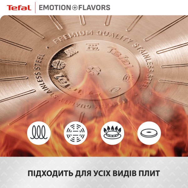 Фото - Сковорода універсальна Tefal G7600445 Emotion+ Flavors 24 см